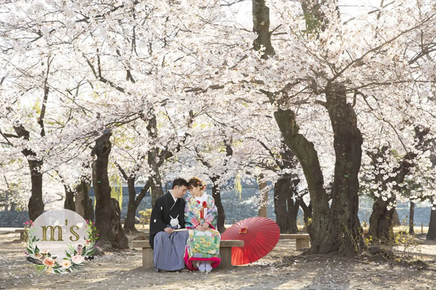 桜並木の下、赤い和傘を手に寄り添う和装の新郎新婦